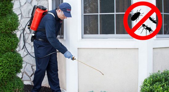 Doğanlar Kene İlaçlama böcek ilaçlama ve haşere kontrolü — ilaclama-tr.com